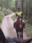 Horse riding experience picture