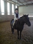 Horse riding lesson picture