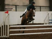 Horse riding lesson picture