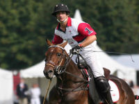 Polo Experience picture