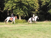 Horse riding lesson picture