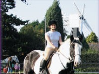 Horse riding lesson picture