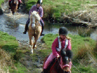 Horse riding experience picture