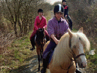 Horse riding lesson picture