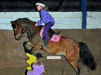 Horse riding lesson picture