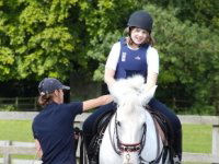 Horse riding lesson picture