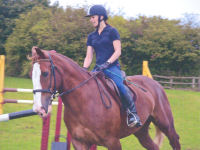 Horse riding lesson picture