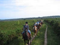 Pub and Picnic riding Experience picture