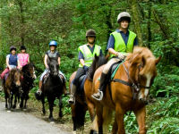 Horse riding lesson picture