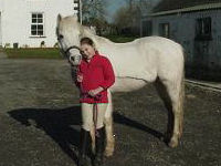 Horse riding lesson picture