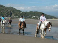 Beach Riding Experience picture