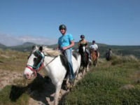 Pony Trekking experience picture