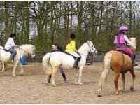 Horse riding experience picture