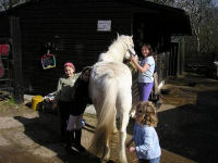 Horse riding experience picture