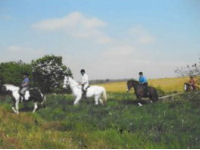 Horse riding experience picture