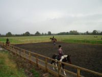 Horse riding experience picture