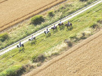 Horse riding experience picture
