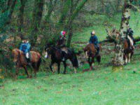 Pony Trekking experience picture