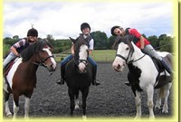 Horse riding lesson picture