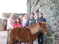 Horse riding experience picture