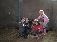 Horse riding experience picture