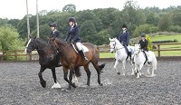 Horse riding lesson picture