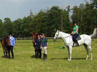 Horse riding lesson picture
