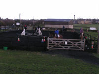 Horse riding lesson picture