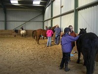 Horse riding lesson picture