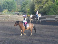 Own a pony Experience picture