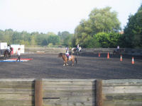Horse riding lesson picture