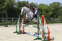 Horse riding experience picture