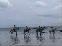 Horse riding experience picture