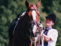 Horse riding lesson picture