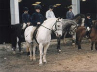 Horse riding lesson picture