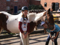 Horse riding lesson picture