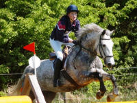 Horse riding lesson picture