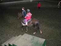 Horse riding experience picture