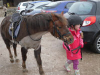 Horse riding experience picture