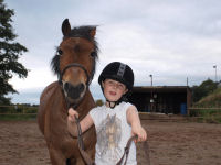 Horse riding experience picture
