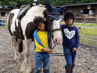 Horse riding lesson picture