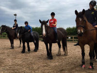 Horse riding lesson picture
